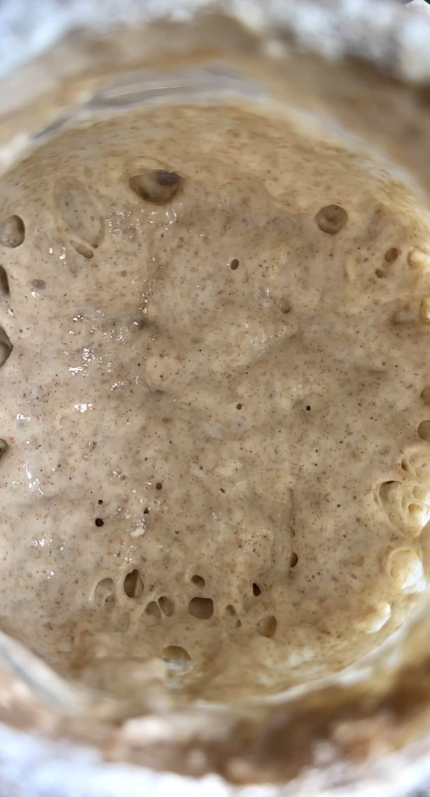 Close-up of bubbly, active sourdough starter, ready for baking.